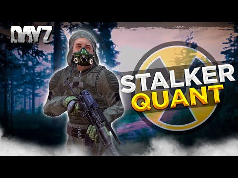 Видео: СТРИМ DAYZ 1.25 | STALKER QUANT PVE | ПЯТНИЧНЫЙ ВЫБРОС В ЗОНУ #2