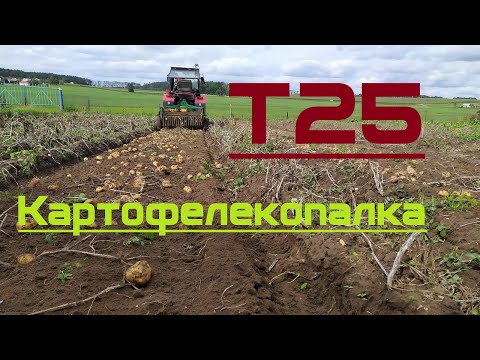 Видео: Картофелекопалка.  В процессе эксплуатации.