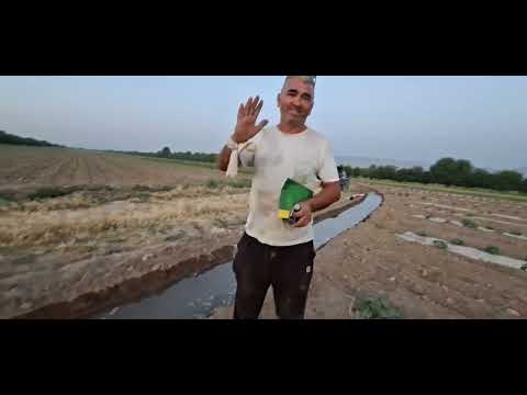 Видео: Бобои Ғаффор мехоҳад ба деҳқоиаҳ нуриҳои минерали диҳад