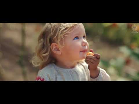 Видео: Ферма на 13-ти сотках? Это возможно?