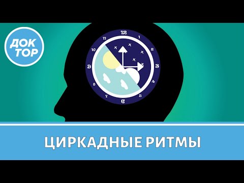 Видео: Что такое циркадные ритмы, и как они управляют нами
