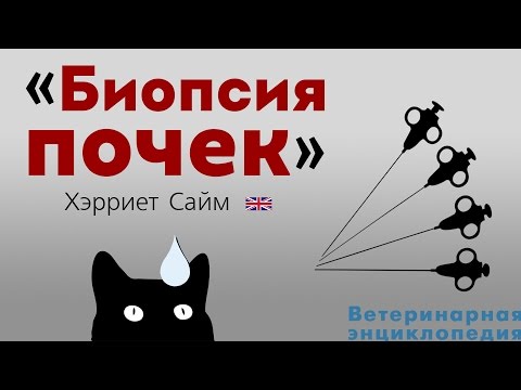 Видео: Биопсия почек. Renal Biopsy