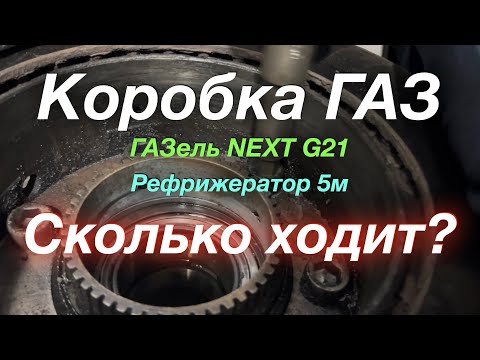 Видео: В Нижний Новгород на ремонт коробки ГАЗель NEXT G2,5 Рефрижерато 5м