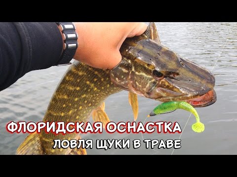 Видео: Оснастка для ловли щуки в траве - Флоридская оснастка