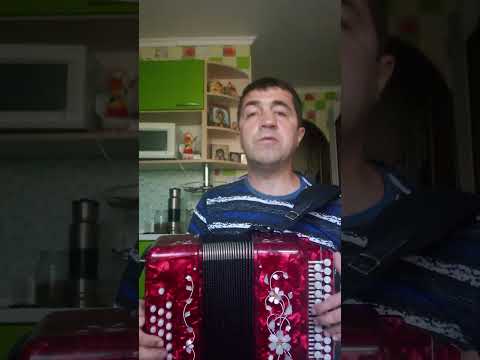 Видео: "В таверне тихо плачет скрипка"