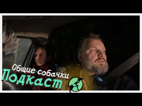 Видео: Собака одновременно и чья и ничья, как это возможно? / Подкаст за рулём
