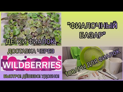 Видео: "Фиалочный базар".