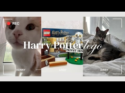 Видео: Жизнь с Каролиной: Начало Сборки LEGO Harry Potter и Встреча с Моими Котами