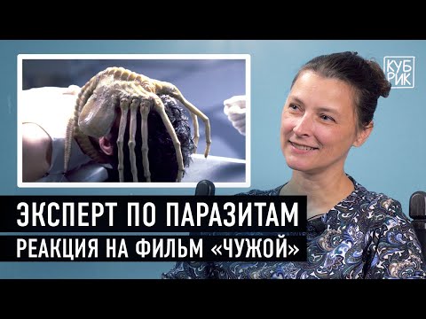 Видео: Биолог разбирает сцены с паразитами в фильмах «Чужой», «Факультет», «Штамм», «Футурама»