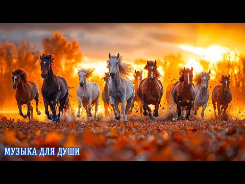 Видео: Красивая Мелодия До Слез! Сборник Лучших Мелодий От Которых Мурашки По Телу! #музыка