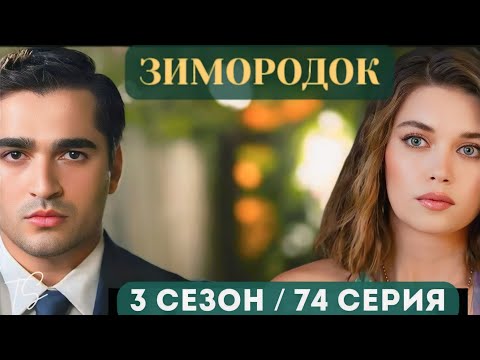 Видео: Зимородок 3 Сезон. 74 серия. Новая жизнь.