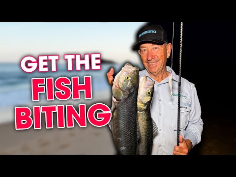 Видео: Клюёт ли рыба в кристально чистой воде? Это моя стратегия ✅