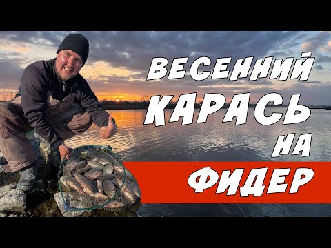 Видео: КЛЁВ КАРАСЯ КАК НА ЧЁРНЫХ КАМНЯХ! Ловля Карася на Фидер ВЕСНОЙ!