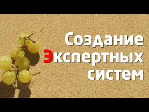 Видео: ЭКСПЕРТНЫЕ СИСТЕМЫ для ПРИНЯТИЯ РЕШЕНИЙ