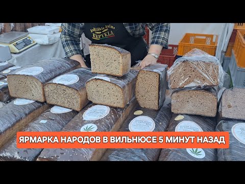 Видео: [Жизнь в Литве]ЯРМАРКА НАРОДОВ/TAUTŲ MUGĖ/Вильнюс 2025г