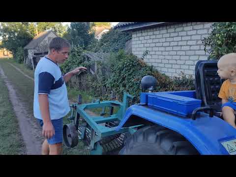 Видео: Копаємо картоплю, яку вирощуємо третій рік. КУШТУЄМО КОРАБЛІ.