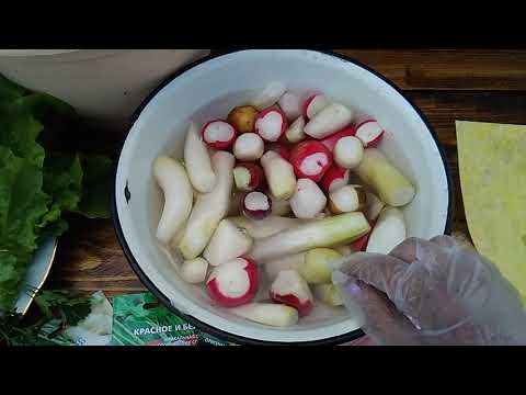 Видео: ЧТО ДЕЛАТЬ С ЛИШНИМ РЕДИСОМ .КАК СОХРАНИТЬ РЕДИС .