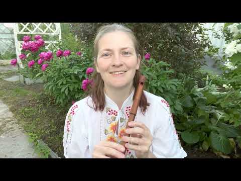 Видео: 2 урок | Хроматическая сопилка / свирель - хроматизмы на 1 октаве + нота ДО 2 октавы + упражнения