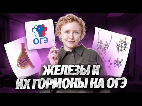 Видео: Железы и их гормоны на ОГЭ по биологии | Умскул