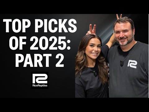 Видео: Лучшие выборы 2025 года: часть 2