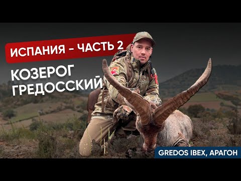 Видео: ТРОФЕЙНАЯ ГОРНАЯ ОХОТА В ИСПАНИИ | РЕАЛЬНАЯ ОХОТА | КОЗЕРОГ ГРЕДОС | КАНТАБРИЙСКАЯ СЕРНА