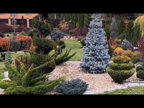 Видео: ТОПИАРНОЕ ИСКУССТВО. Моя ЛЮБОВЬ ❤️