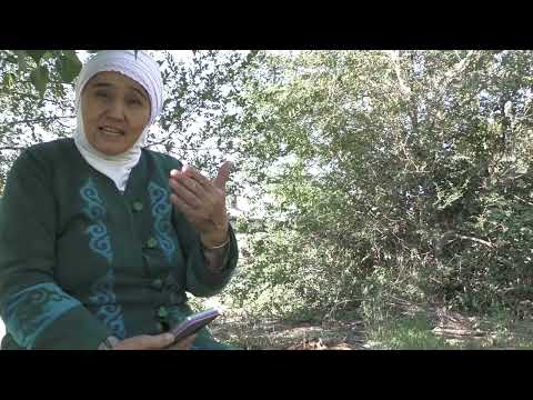 Видео: Машһүр Жүсіп ата тауралы айтарым бар Баяннан 1