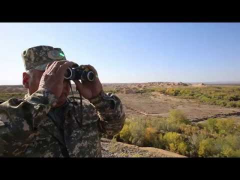 Видео: Заповедный Казахстан. Реликтовая роща