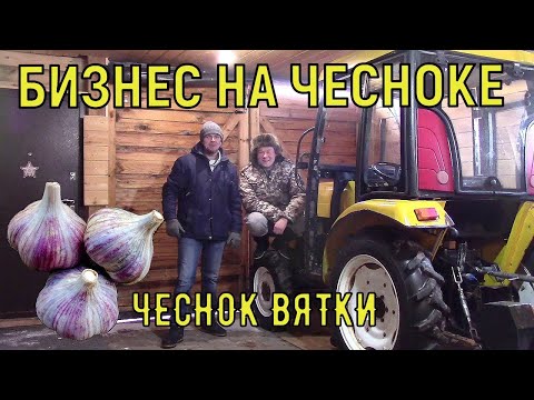 Видео: ВЫРАЩИВАНИЕ ЧЕСНОКА - КАК ПРОДАВАТЬ МНОГО И ДОРОГО. БИЗНЕС В ДЕРЕВНЕ