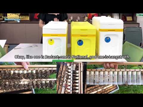 Видео: Шестирамковий вулик-нуклеус на рамку: Дадана 470*300 мм, Рута 483*232 мм, Національна 435*300 мм