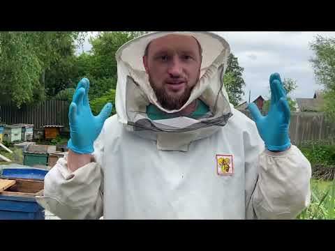 Видео: Ловушка полная мёда или мёд на халяву.