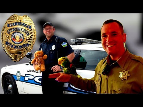 Видео: Какие ГАИшники в США, дорожная полиция США, факты о ней