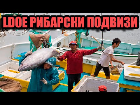 Видео: LDOE! БРУТАЛЕН РИБОЛОВ! КАКВО ХВАНАХ?