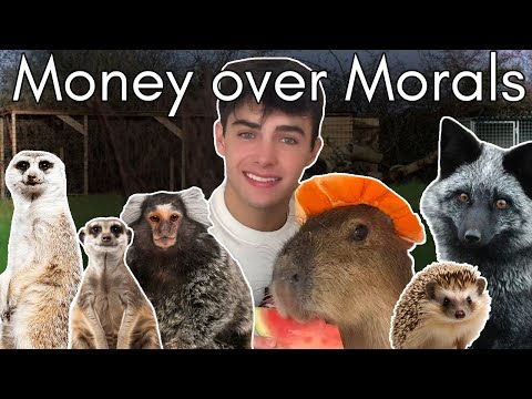 Видео: Проблема эксплуатации экзотических животных в TikTok: Кайл Томас