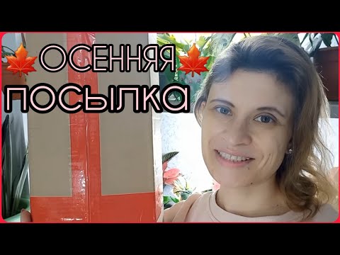 Видео: ОЖИДАНИЕ И РЕАЛЬНОСТЬ😀Новый сорт или развод?🌱Посылка с цветами ОСЕНЬЮ🌱Комнатные растения почтой🌱
