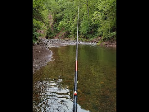Видео: Хариус. июнь 2024. Рыбалка в приморском крае. Верховья таежной реки. Рыбалка и ночевка!
