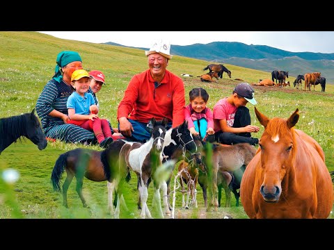 Видео: 50 жыл ЖЫЛКЫ баккан Сейитбек Калчаев атабыз // КЕРЕМЕТ ЖАЙЛОО