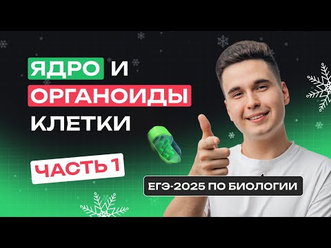 Видео: ЯДРО И ОРГАНОИДЫ КЛЕТКИ (ЧАСТЬ 1) ДЛЯ ЕГЭ ПО БИОЛОГИИ | Зимняя школа | NeoFamily