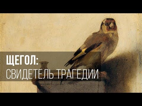 Видео: Щегол: свидетель трагедии