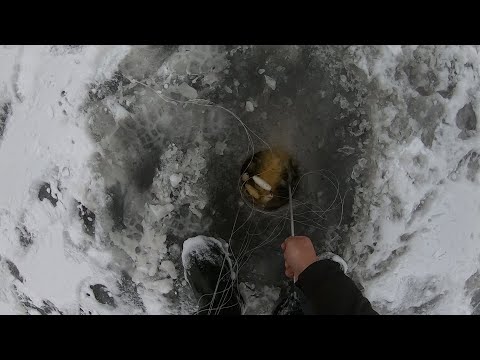 Видео: Я ДУМАЛ ОН РАЗОРВЁТ ХАПУГУ И УЙДЁТ... УДАЧНАЯ РЫБАЛКА НА ХАПУГИ НА СИБИРСКОЙ ЗАКОРЯЖЕННОЙ РЕЧКЕ...