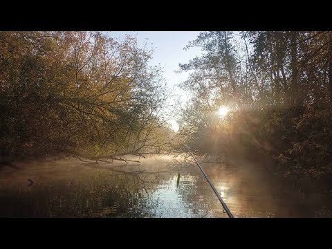 Видео: Риболовля на човні. Русло завалене, проходу по р.Південний Буг немає.🫤