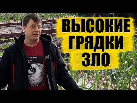 Видео: Высота грядки прямо пропорциональна вашему географическому положению