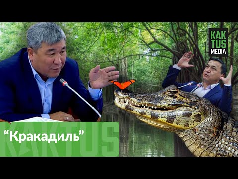 Видео: Рыскелди Момбеков: Задержание Бабанова - это попытка найти крокодила в реке Нарын