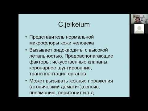 Видео: Г.Ш. Исаева. Коринебактерии. Возбудитель дифтерии. Педиатрический факультет.