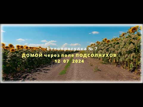 Видео: Дорога домой через поле подсолнухов 12 07 2024 Велопрогулка № 7