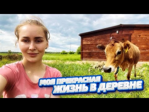 Видео: ИЮНЬ - отдыхать некогда! Варим творог! Спасаем УТЯТ! Молодая Ферма