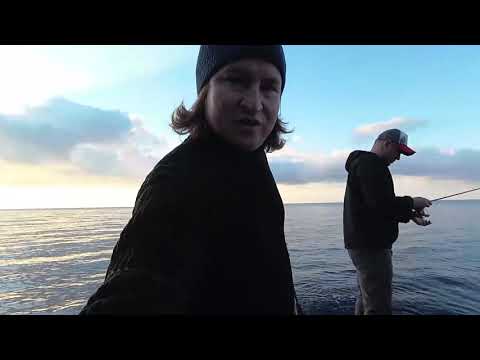 Видео: За сарганом в ноябре