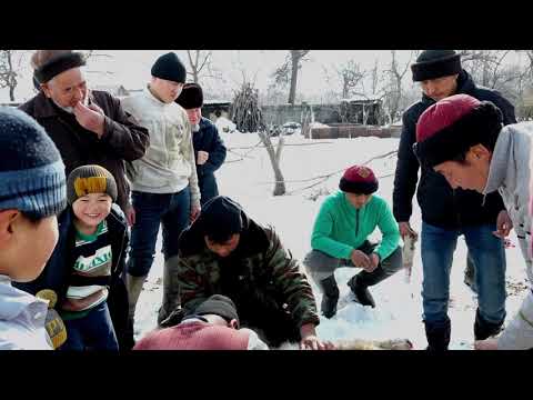 Видео: Уул той. Үй той. 2-болум Кутубектин үй-бүлөсү.