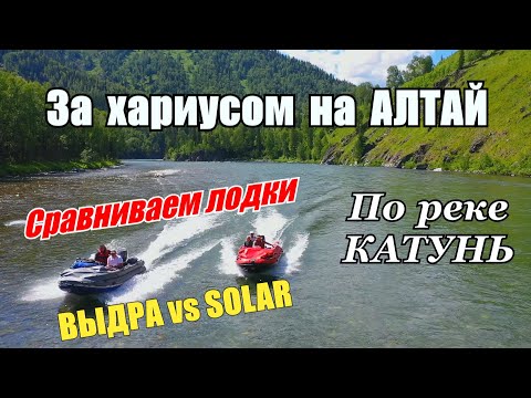 Видео: Сравнение лодки Solar и Выдра/Алтай - за хариусом на рыбалку/Как нас унизили местные на реке #1