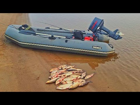 Видео: Рыбалка в туман на реке Печора! Такие лапти, а стоят на мели!